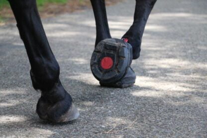 cavallo hoefschoenen