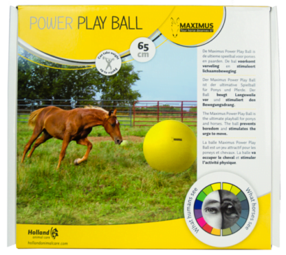 paarden speelbal