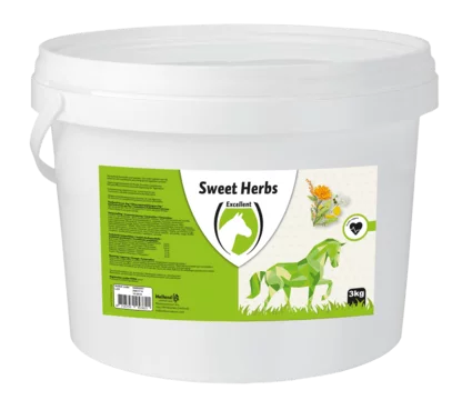 Excellent sweet blocks paardensnoepjes alle smaken